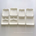 Caixa descartável Bagasse Shells Takeaway Hinged Box